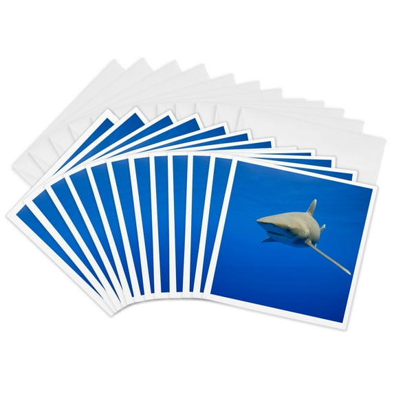 3drose, Hawaii, Big Island, Oceanic White Tip Shark - Us12 Pso0039 - Paul Souders, 12 Greeting Cards with Envelopes