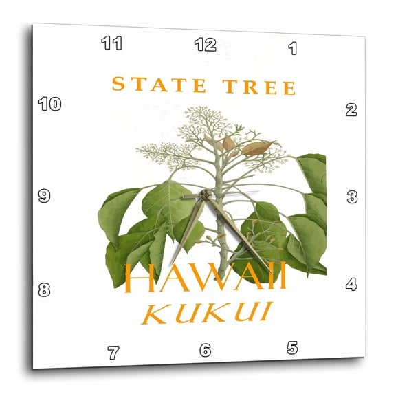 3drose, Hawaii Territory Tree the Kukui Tree, 10x10 Wall Clock