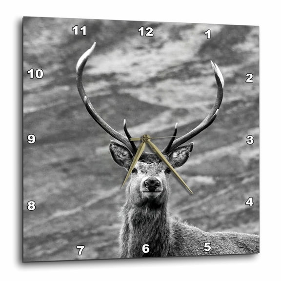 3drose, Head Shot of a Stag, Highlands of Scotland, 10x10 Wall Clock