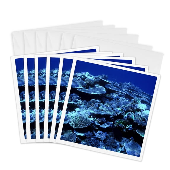 3drose, Healthy Coral Reef, Great Barrier Reef in Queensland, Australia, 6 Greeting Cards with Envelopes