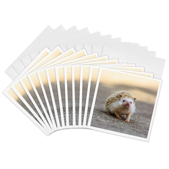 3drose, Hedgehog. Koh Samui, Thailand, 12 Greeting Cards with Envelopes