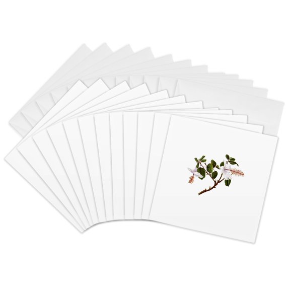 3drose, Hibiscus Arnottianus Hawaiian Flower Vintage Botanical, 12 Greeting Cards with Envelopes