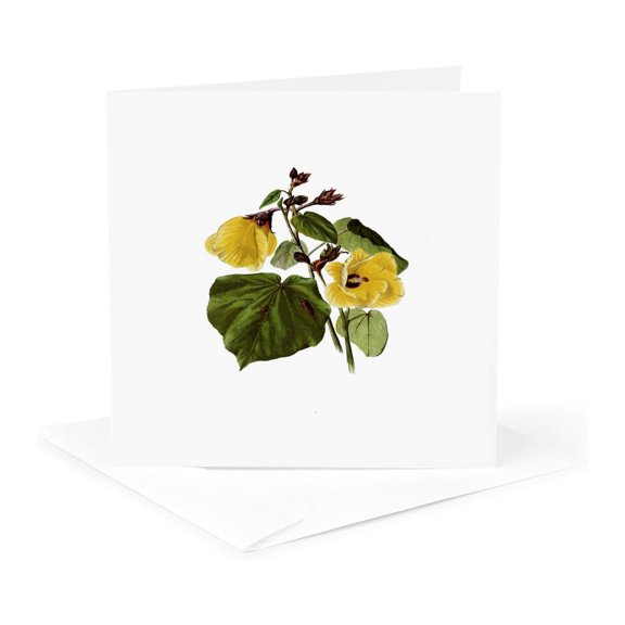 3drose, Hibiscus Brackenridgei Hawaiian Flower Vintage Botanical, 1 Greeting Card with Envelope