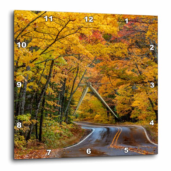 3drose, Highway 41 Covered Roadway, Copper Harbor, Upper Peninsula, Mi, Usa, 15x15 Wall Clock