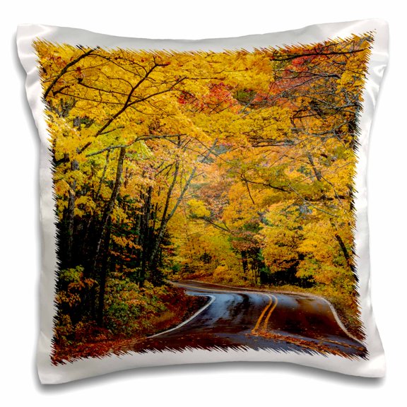 3drose, Highway 41 Covered Roadway, Copper Harbor, Upper Peninsula, Mi, Usa, 16x16 inch Pillow Case
