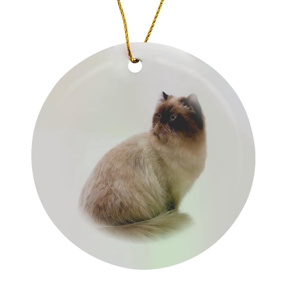 3drose, Himalayan Cat, Circle Porcelain Ornament