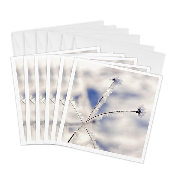 3drose, Hoarfrost on Branches in Winter Snow Is Covering the Landscape, 6 Greeting Cards with Envelopes