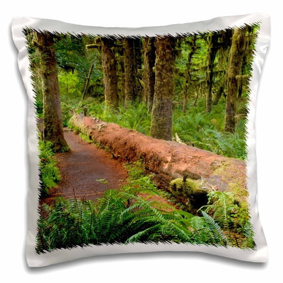3drose, Hoh Rainforest, Olympic Np, Washington - Us48 Rkl0013 - Raymond Klass, 16x16 inch Pillow Case