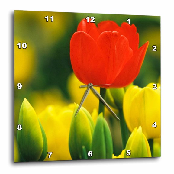 3drose, Holland, Keukenhof Gardens. Tulips in Flower Garden., 13x13 Wall Clock
