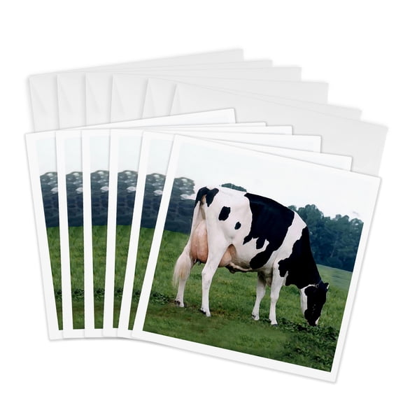 3drose, Holstein Cow, 6 Greeting Cards with Envelopes