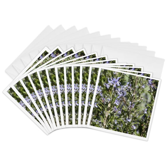 3drose, Honey Bee on Rosemary Blossom - Bee, Blossom, Flower, Honey Bee, Honeybee, Insect, Rosemary, 12 Greeting Cards with Envelopes
