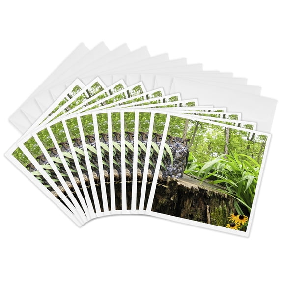 3drose, Horned Owl, 12 Greeting Cards with Envelopes