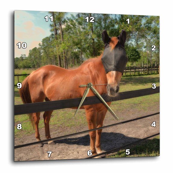 3drose, Horse in Fly Mask Equine, 15x15 Wall Clock
