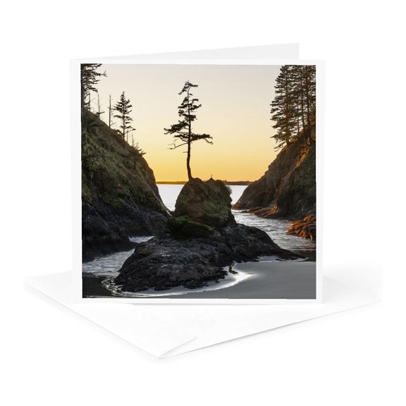 3drose, Huckleberry Bushes, Mountain Ash. Mount Rainier Natl Park, Wa State, 1 Greeting Card with Envelope