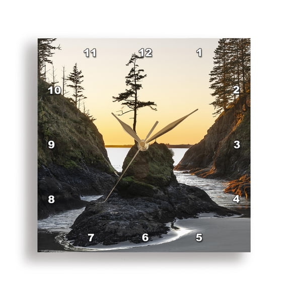 3drose, Huckleberry Bushes, Mountain Ash. Mount Rainier Natl Park, Wa State, 10x10 Wall Clock