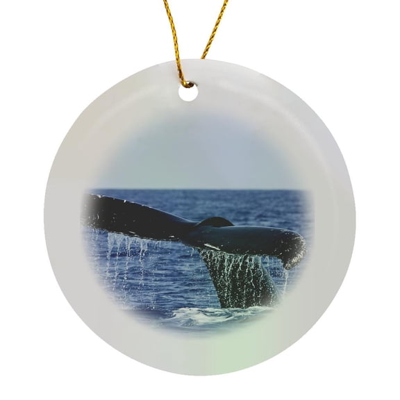 3drose, Humpback Whale, Circle Porcelain Ornament