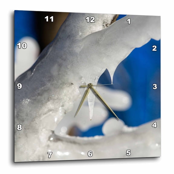 3drose, Ice Covered Branch of the Tree, Small Icicle, 15x15 Wall Clock