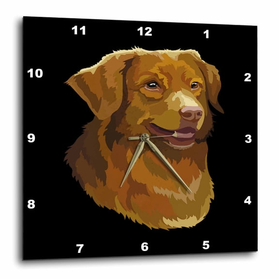 3drose, Illustration Portrait of Nova Scotia Duck Tolling Retriever Dog, 15x15 Wall Clock