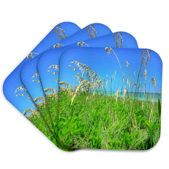 3drose, Image of Florida Sea Oats on Naples Beach, Set of 4 Coasters - Soft