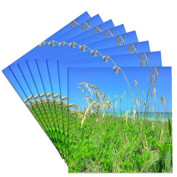 3drose, Image of Florida Sea Oats on Naples Beach, Set of 8 Ceramic Tile Coasters