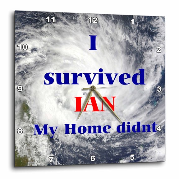 3drose, Image of Hurricane with True Message, 10x10 Wall Clock