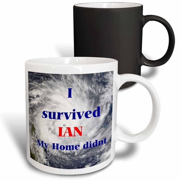 3drose, Image of Hurricane with True Message, 11oz Magic Transforming Mug