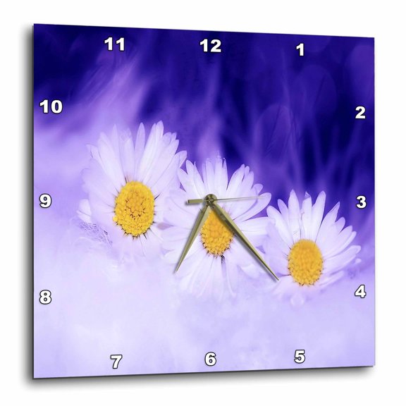 3drose, Image of Three Daisies on Purple and Violet, 10x10 Wall Clock