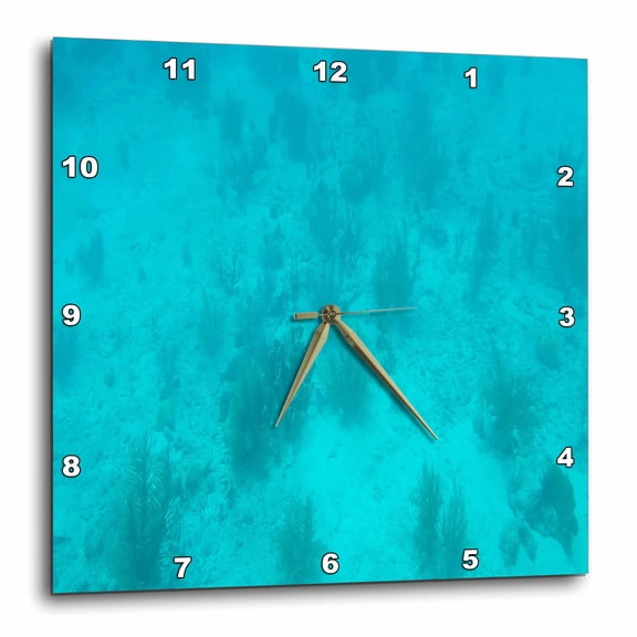 3drose, Image of Underwater in Aruba on Submarine, 10x10 Wall Clock