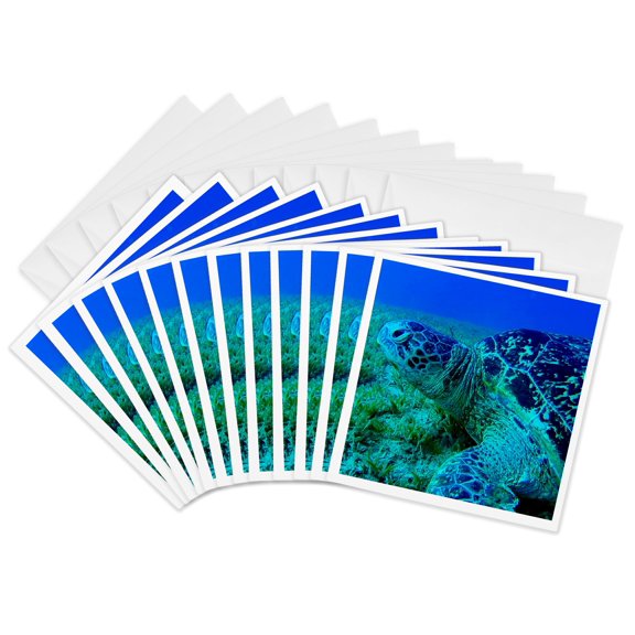 3drose, Image of a Swimming Turtle., 12 Greeting Cards with Envelopes