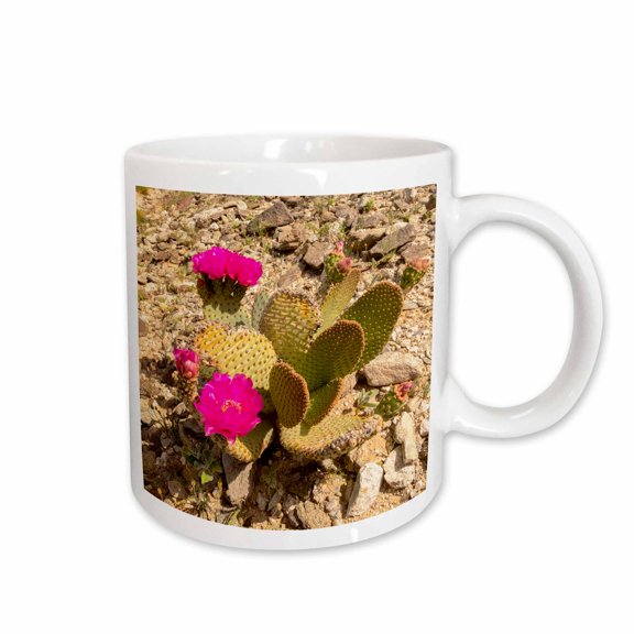 3drose, Imperial Sand Dunes Recreation Area, Ca. Evening Primrose Flowers., 11oz Mug