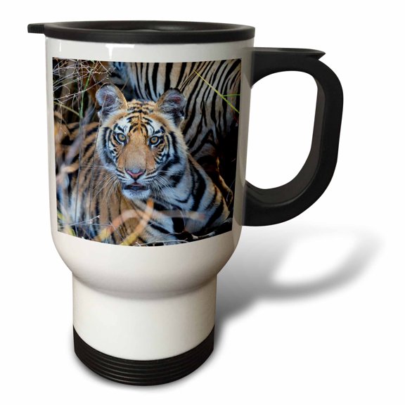 3drose, India, Madhya Pradesh, Bandhavgarh Np. a Young Tiger in Tall Grass., 14oz Stainless Steel Travel Mug