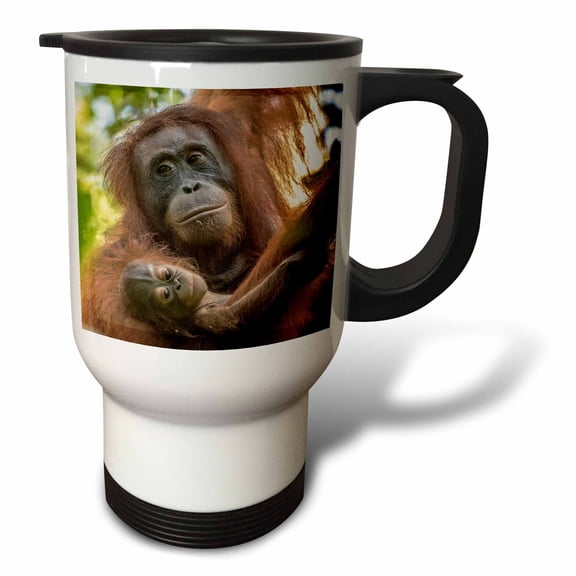 3drose, Indonesia, Borneo, Kalimantan. Female Orangutan with Baby., 14oz Stainless Steel Travel Mug