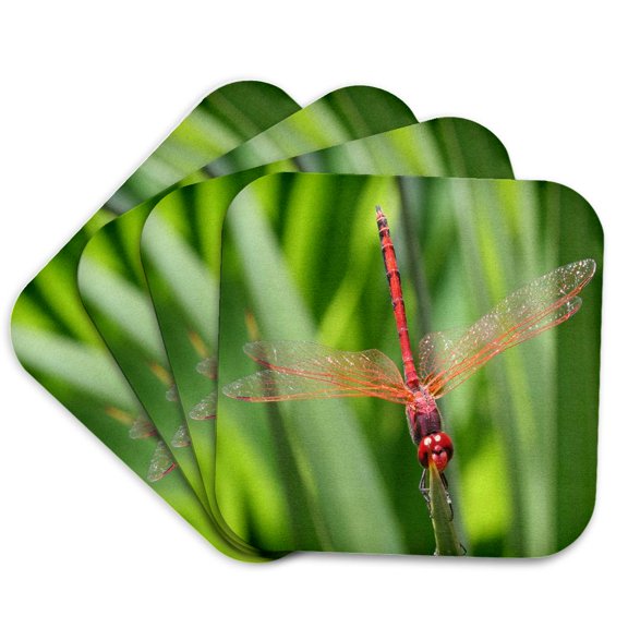 3drose, Insects Dragonfly, Set of 4 Coasters - Soft