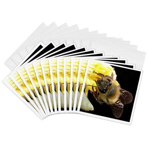 3drose, Insects Honey Bee, 12 Greeting Cards with Envelopes