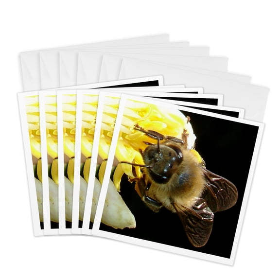 3drose, Insects Honey Bee, 6 Greeting Cards with Envelopes