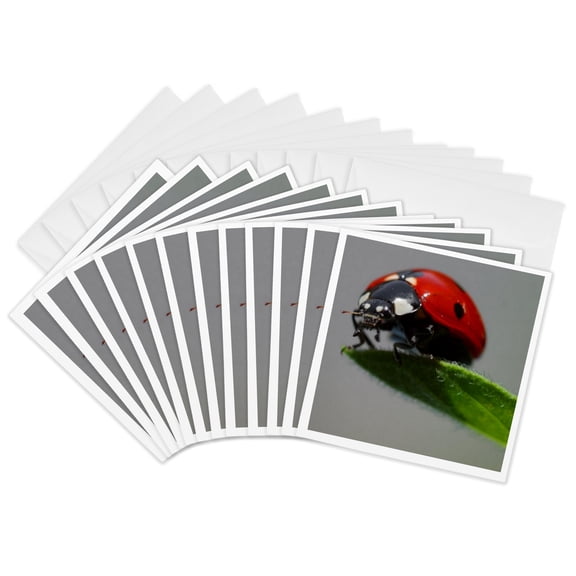 3drose, Insects Ladybug, 12 Greeting Cards with Envelopes