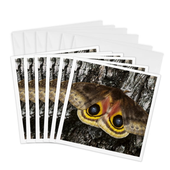 3drose, Io Moth Insect, Mesquite Tree Bark, Texas - Us44 Rnu0192 - Rolf Nussbaumer, 6 Greeting Cards with Envelopes