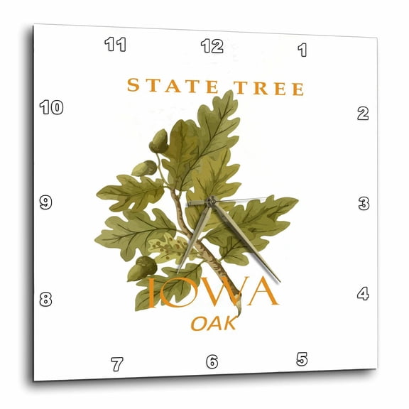 3drose, Iowa Territory Oak Tree, 15x15 Wall Clock