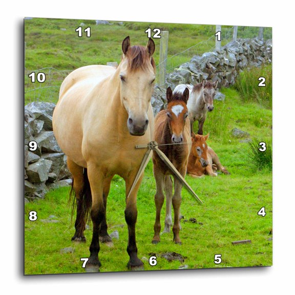 3drose, Ireland. Farm Horses of the Connemara - Eu15 Kwi0001 - Kymri Wilt, 15x15 Wall Clock