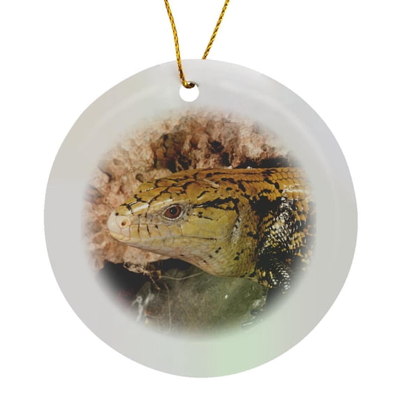 3drose, Irian Jaya Blue Tongue Skink, Lizard, Irian Jaya - Na02 Dno0872 - David Northcott, Circle Porcelain Ornament