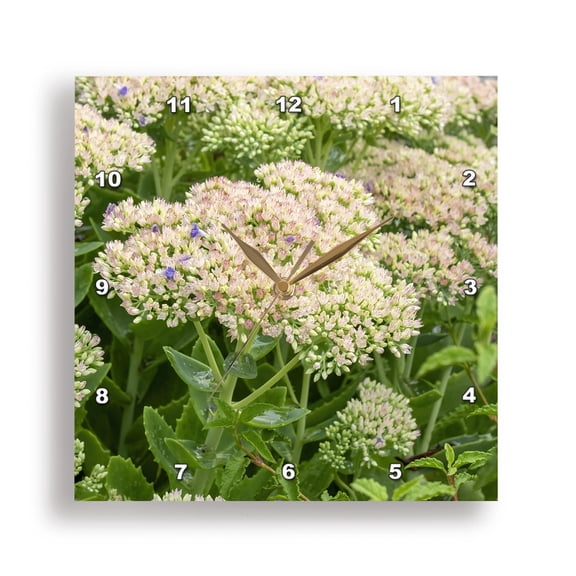 3drose, Issaquah, Wa State. Bee Balm Flower Blossom Pollinated by Bumblebee., 15x15 Wall Clock