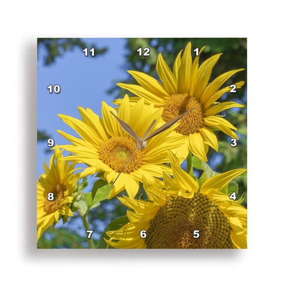3drose, Issaquah, Wa State. Fragrant Water Lily, Considered a Noxious Weed, 10x10 Wall Clock