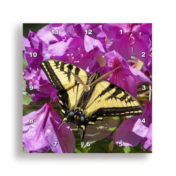 3drose, Issaquah, Wa State. Western Tiger Swallowtail Butterfly Pollinating., 13x13 Wall Clock