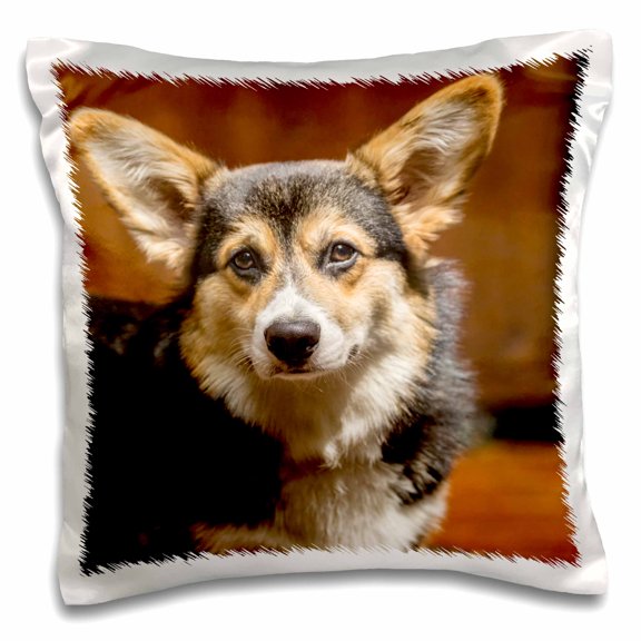3drose, Issaquah, Wa, Usa. Six Month Old Corgi Puppy Posing on a Lawn Chair., 16x16 inch Pillow Case