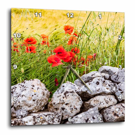 3drose, Italy, Apulia,laterza. Field of Barley with Poppies, 13x13 Wall Clock