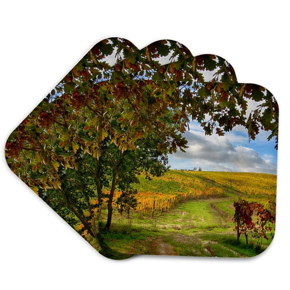 3drose, Italy, Montepulciano, Dirth Path Through Autumn Vineyards., Set of 4 Coasters - Soft