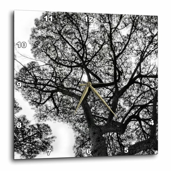 3drose, Italy, Rome, Maritime Pine Seen from Below., 15x15 Wall Clock