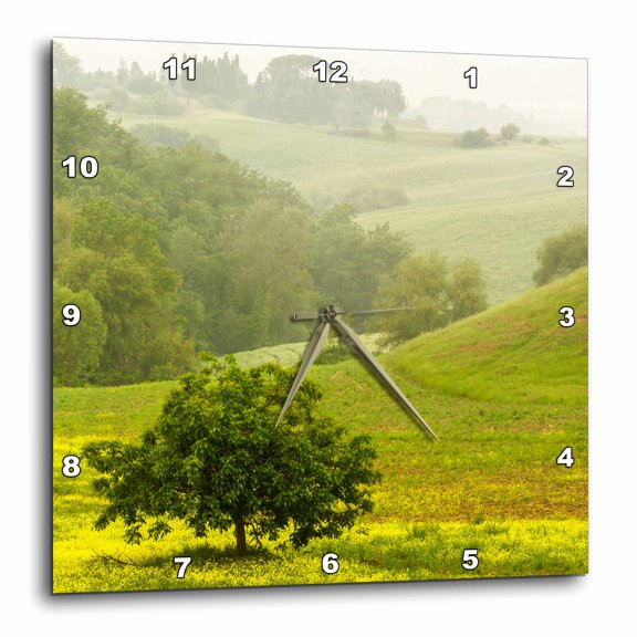 3drose, Italy, Tuscany, Misty Countryside., 15x15 Wall Clock
