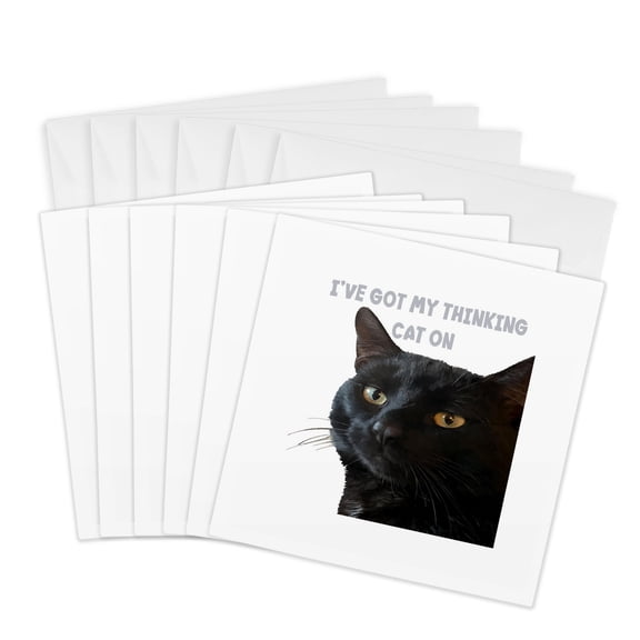 3drose, Ive Got My Thinking Cat on Funny Pun Quote, 6 Greeting Cards with Envelopes