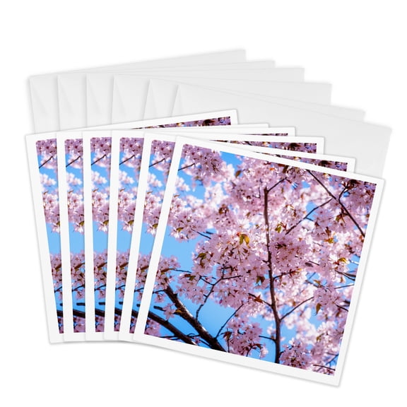 3drose, Japanese Cherry Tree - Sakura in Full Bloom. Pink Flowers, 6 Greeting Cards with Envelopes